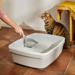 Frisco Multi-Cat Unscented Clumping Clay Cat Litter -Pet Supply Store 103790 PT4. AC SS1800 V1659023572