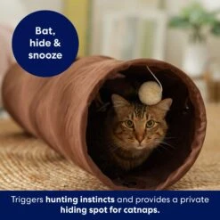 Frisco 35-in Foldable Crinkle Play Tunnel With 1 Window -Pet Supply Store 140166 PT3. AC SS1800 V1695670685