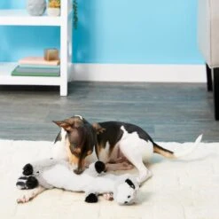 Pet Supply Store -Pet Supply Store 147045 PT1. AC SS1800 V1539205362