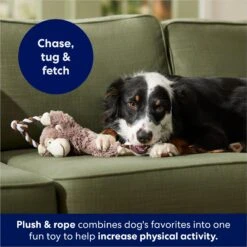 Frisco Monkey Plush With Rope Squeaky Dog Toy 8 Frisco Monkey Plush With Rope Squeaky Dog Toy -Pet Supply Store 147067 PT4. AC SS1800 V1686079871