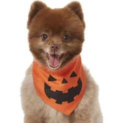 Frisco Jack O' Lantern Pumpkin Dog & Cat Bandana 9 Frisco Jack O' Lantern Pumpkin Dog & Cat Bandana -Pet Supply Store 158934 PT2. AC SS1800 V1690828662