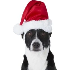 Frisco Holiday Dog & Cat Santa Hat, 1 Count 8 Frisco Holiday Dog & Cat Santa Hat, 1 Count -Pet Supply Store 160054 PT2. AC SS1800 V1669100718