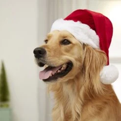 Frisco Holiday Dog & Cat Santa Hat, 1 Count 10 Frisco Holiday Dog & Cat Santa Hat, 1 Count -Pet Supply Store 160054 PT4. AC SS1800 V1637650626
