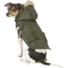 Frisco Mid-Heavyweight Portland Insulated Dog & Cat Parka