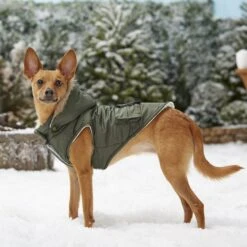 Frisco Mid-Heavyweight Portland Insulated Dog & Cat Parka -Pet Supply Store 160295 PT7. AC SS1800 V1567618265