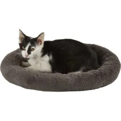 Frisco Self Warming Bolster Round Kitten Bed -Pet Supply Store 165315 PT2. AC SS1800 V1568211141