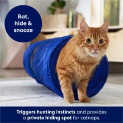 Frisco Foldable Play Tunnel With Mesh Cat Toy 6 Frisco Foldable Play Tunnel With Mesh Cat Toy -Pet Supply Store 166385 PT2. AC SS1800 V1686580143