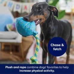 Frisco Birthday Balloon Plush With Rope Squeaky Dog Toy 8 Frisco Birthday Balloon Plush With Rope Squeaky Dog Toy -Pet Supply Store 177807 PT3. AC SS1800 V1695241973