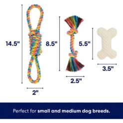 Frisco Jungle Pals Plush & Rope Variety Pack Dog Toy -Pet Supply Store 177819 PT2. AC SS1800 V1686579629