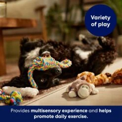 Frisco Jungle Pals Plush & Rope Variety Pack Dog Toy -Pet Supply Store 177819 PT5. AC SS1800 V1691784249