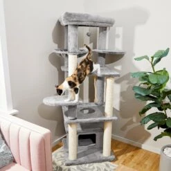 Pet Supply Store 37 Frisco 65-in XXL Heavy Duty Cat Tree