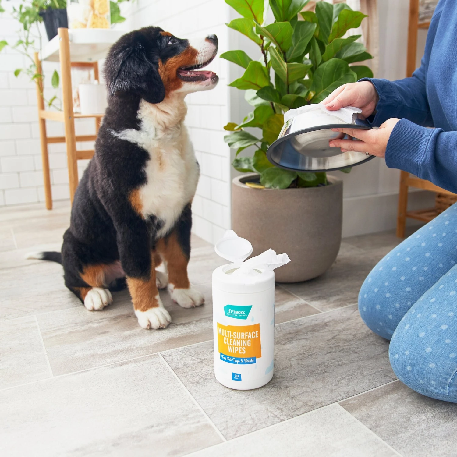 Frisco Pet Toy & Bowl Cleaning Wipes, 70 Count 2 Frisco Pet Toy & Bowl Cleaning Wipes, 70 Count - Image 2