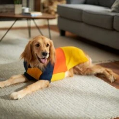 Frisco Colorblock Dog & Cat Turtleneck Sweater With Sleeves -Pet Supply Store 223819 PT7. AC SS1800 V1599922008