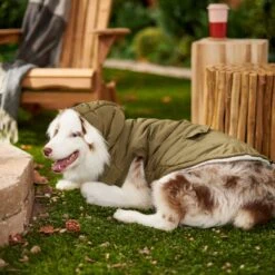 Frisco Mid-Heavyweight Love Insulated Dog & Cat Coat -Pet Supply Store 224034 PT7. AC SS1800 V1601578266