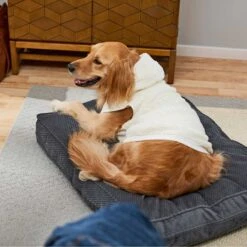 Frisco Plush Fur Dog & Cat Hoodie -Pet Supply Store 224209 PT7. AC SS1800 V1637685435