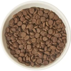 Frisco Double-Sided Ceramic Elevated Cat Bowl -Pet Supply Store 232081 PT3. AC SS1800 V1605145964