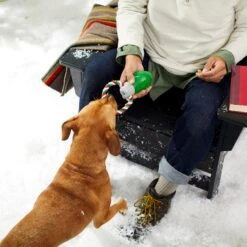 Frisco Holiday Christmas Light Rope With TPR Squeaky Dog Toy -Pet Supply Store 233278 PT2. AC SS1800 V1601641574