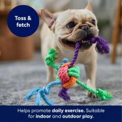 Frisco Fetch Colorful Ball Knot Rope Dog Toy -Pet Supply Store 242159 PT3. AC SS1800 V1695242179