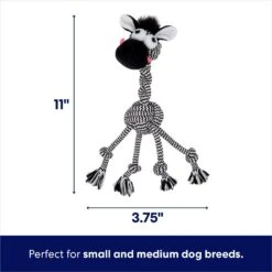 New Products -Pet Supply Store 242163 PT1. AC SS1800 V1695084258