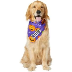 Frisco Halloween Pumpkins Personalized Dog & Cat Bandana -Pet Supply Store 242815 PT6. AC SS1800 V1618509475