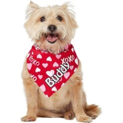 Frisco XOXO Hearts Personalized Dog & Cat Bandana -Pet Supply Store 254203 PT6. AC SS1800 V1632427913