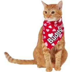 Frisco XOXO Hearts Personalized Dog & Cat Bandana -Pet Supply Store 254203 PT7. AC SS1800 V1632417974