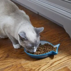 Frisco Fish Shaped Non-skid Ceramic Cat Dish -Pet Supply Store 256109 PT3. AC SS1800 V1617196297