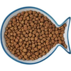 Frisco Fish Shaped Non-skid Ceramic Cat Dish -Pet Supply Store 256109 PT6. AC SS1800 V1617196895