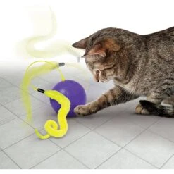 KONG Purrsuit Whirlwind Replacement Tails Cat Toy, 2 Count -Pet Supply Store 261253 PT2. AC SS1800 V1631773890