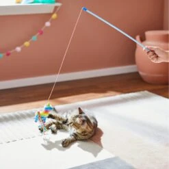 Frisco Pinata Teaser Wand Cat Toy With Catnip -Pet Supply Store 264446 PT3. AC SS1800 V1618948636