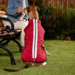 Frisco Mediumweight Reflective 2-in-1 Dog & Cat Fleece Coat -Pet Supply Store 268359 PT8. AC SS1800 V1629759326