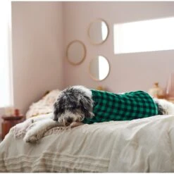 Frisco Dog & Cat Cozy Plush Fleece PJs, Green Plaid -Pet Supply Store 268517 PT8. AC SS1800 V1629755447