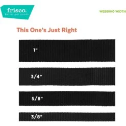 Frisco Midnight Floral Cat Collar -Pet Supply Store 269490 PT6. AC SS1800 V1629992485