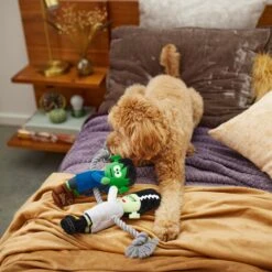 Frisco Halloween Frankenstein & Bride Plush With Rope Squeaky Dog Toy -Pet Supply Store 270496 PT3. AC SS1800 V1624824775