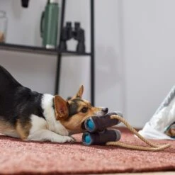 Frisco Camping Binoculars Plush With Rope Squeaky Dog Toy 5 Frisco Camping Binoculars Plush With Rope Squeaky Dog Toy -Pet Supply Store 271009 PT3. AC SS1800 V1625009167