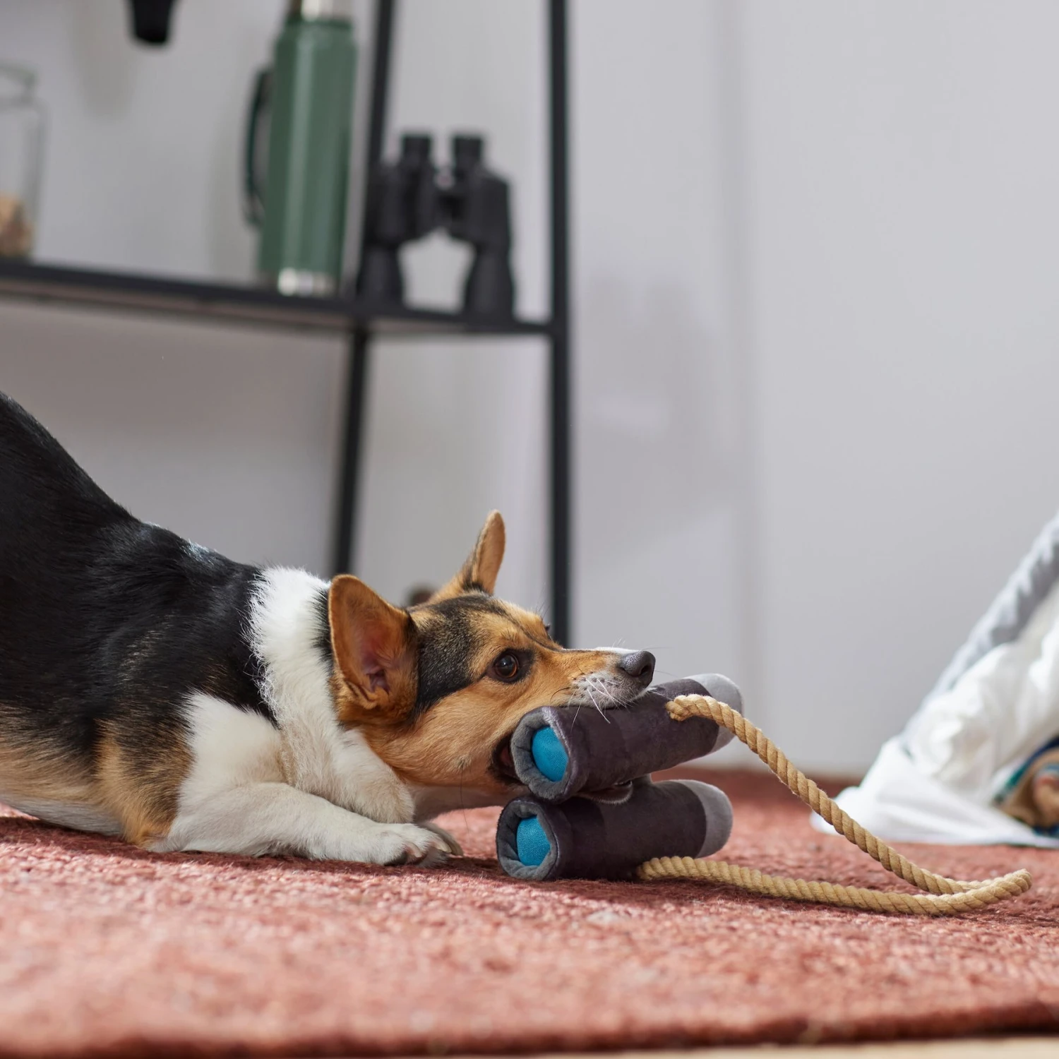 Frisco Camping Binoculars Plush With Rope Squeaky Dog Toy 3 Frisco Camping Binoculars Plush With Rope Squeaky Dog Toy - Image 3