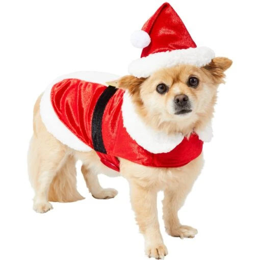 Frisco Mr. Claus Dog & Cat Costume 7 Frisco Mr. Claus Dog & Cat Costume -Pet Supply Store 276142 MAIN. AC SS1800 V1631570416