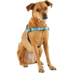 Frisco Padded Reflective No Pull Harness 8 Frisco Padded Reflective No Pull Harness -Pet Supply Store 277892 PT3. AC SS1800 V1629758833