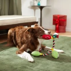 Frisco Holiday Lights Plush With Rope Squeaky Dog Toy -Pet Supply Store 287109 PT3. AC SS1800 V1632775707