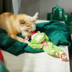 Frisco Holiday Monkey Plush With Rope Squeaky Dog Toy -Pet Supply Store 287115 PT3. AC SS1800 V1632774182