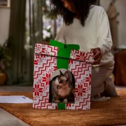 Frisco Holiday Gift Box Cardboard Cat House -Pet Supply Store 287291 PT3. AC SS1800 V1695043502