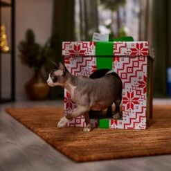 Frisco Holiday Gift Box Cardboard Cat House -Pet Supply Store 287291 PT4. AC SS1800 V1695045716