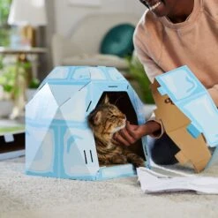 Frisco Igloo Cardboard Cat House 9 Frisco Igloo Cardboard Cat House -Pet Supply Store 287293 PT3. AC SS1800 V1692035199