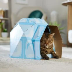 Frisco Igloo Cardboard Cat House 10 Frisco Igloo Cardboard Cat House -Pet Supply Store 287293 PT4. AC SS1800 V1692035193