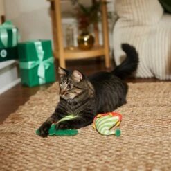 Frisco Holiday Elf Legs & Hat Plush Cat Toy With Catnip, 2 Count -Pet Supply Store 287365 PT3. AC SS1800 V1632776685