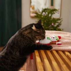 Frisco Naughty Or Nice Snowman Reversible Plush Cat Toy With Catnip -Pet Supply Store 287387 PT3. AC SS1800 V1632774541