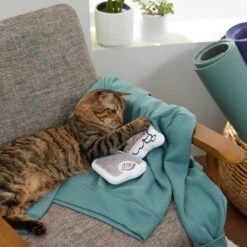 Frisco Scale & Message Bubble Plush Cat Toy With Catnip, 2 Count 5 Frisco Scale & Message Bubble Plush Cat Toy With Catnip, 2 Count -Pet Supply Store 288959 PT3. AC SS1800 V1638288401