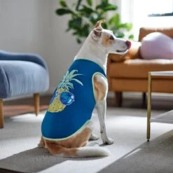 Frisco Pineapple Guy Dog & Cat T-Shirt -Pet Supply Store 312040 PT8. AC SS1800 V1644466024
