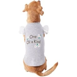 Frisco One Of A Kind Dog & Cat T-Shirt -Pet Supply Store 312080 PT3. AC SS1800 V1673303002