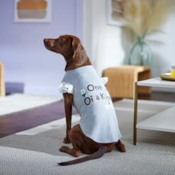 Frisco One Of A Kind Dog & Cat T-Shirt -Pet Supply Store 312080 PT5. AC SS1800 V1673304060